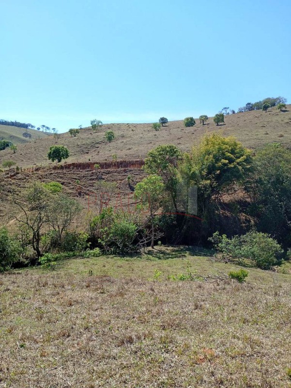 Sítio, 8 hectares - Foto 12