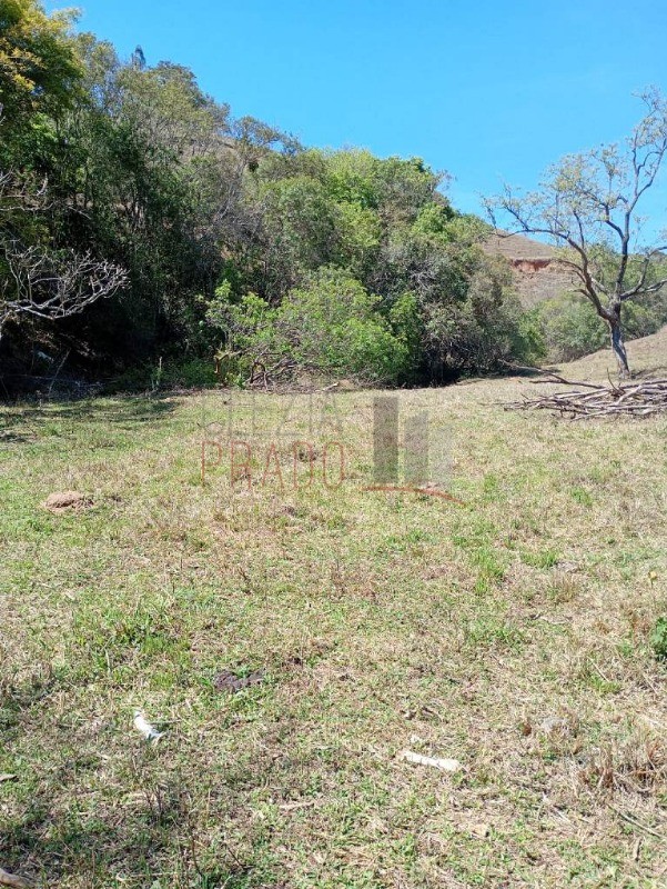 Sítio, 8 hectares - Foto 5