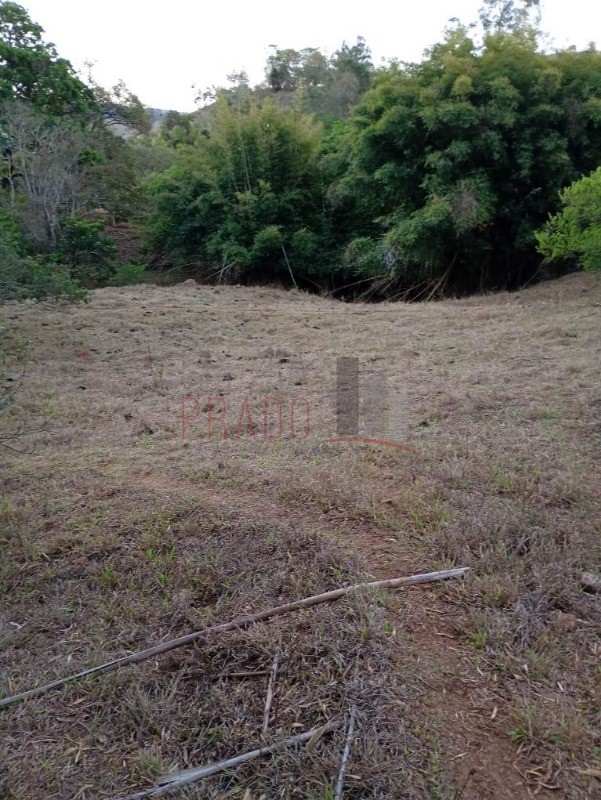 Sítio, 8 hectares - Foto 10