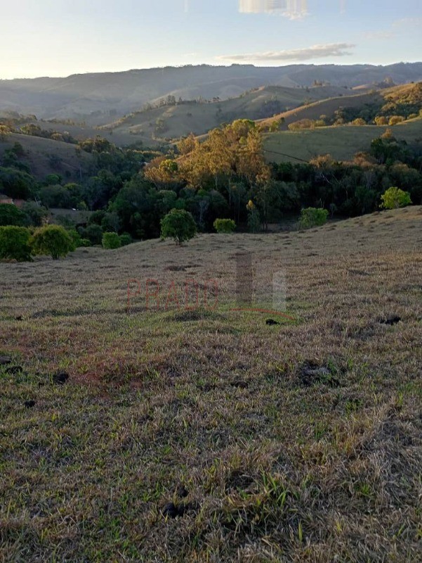 Sítio, 8 hectares - Foto 14