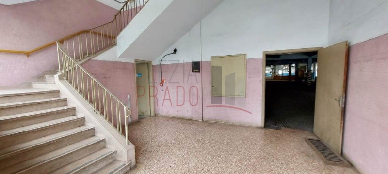 Depósito-Galpão, 12000 m² - Foto 5