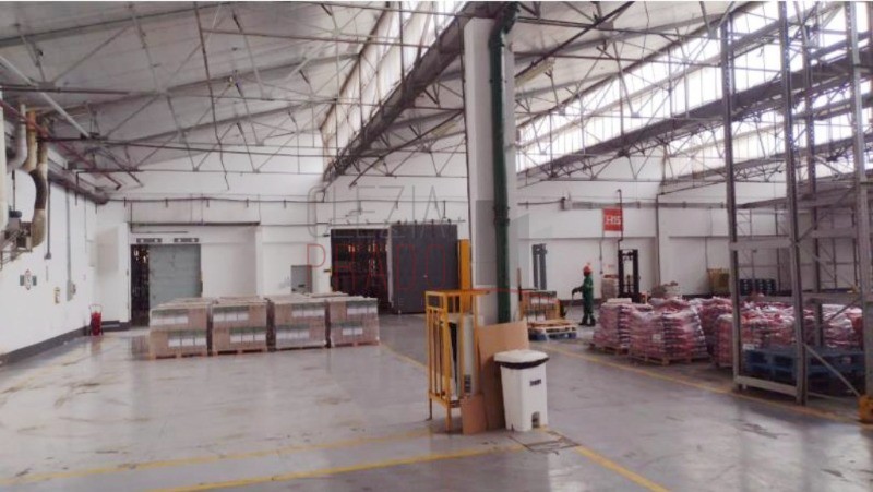 Depósito-Galpão, 6200 m² - Foto 3