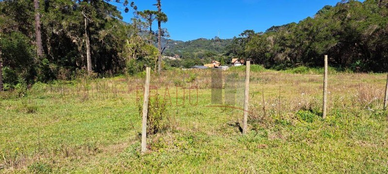 Loteamento e Condomínio - Foto 1