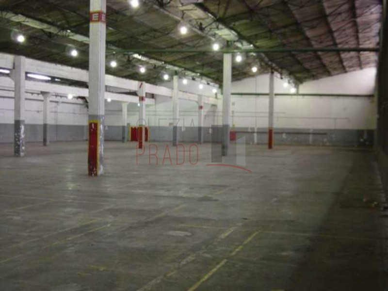 Depósito-Galpão, 7138 m² - Foto 5