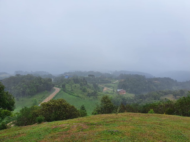 Fazenda à venda com 2 quartos, 7000m² - Foto 7