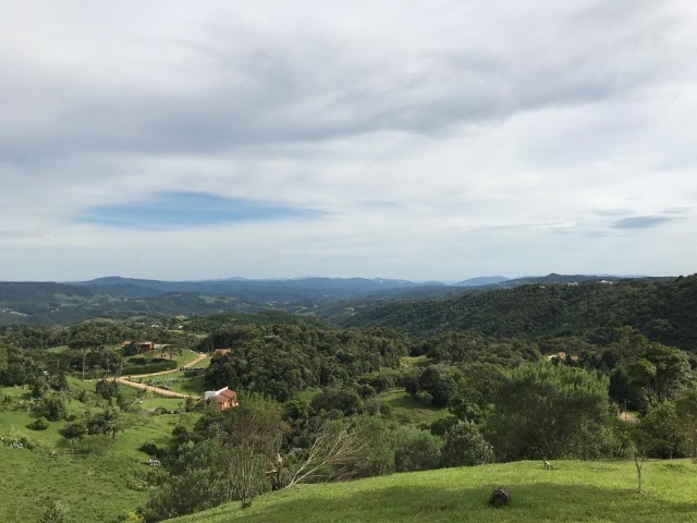 Fazenda à venda com 2 quartos, 7000m² - Foto 11