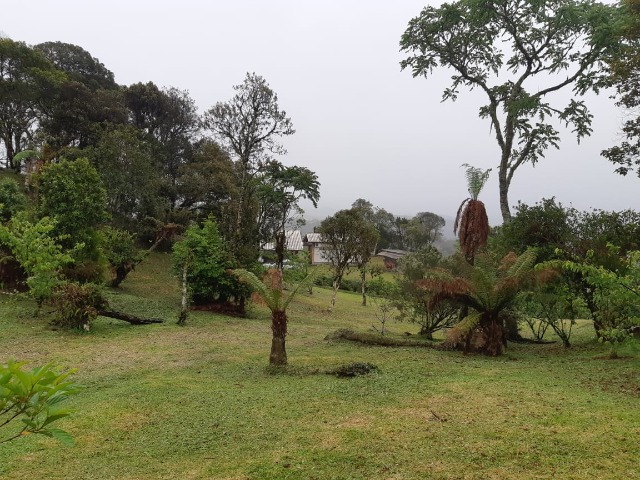 Fazenda à venda com 2 quartos, 7000m² - Foto 5