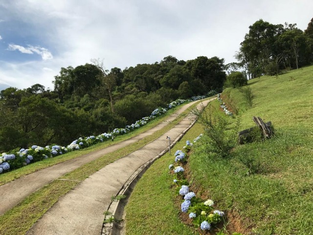 Fazenda à venda com 2 quartos, 7000m² - Foto 12