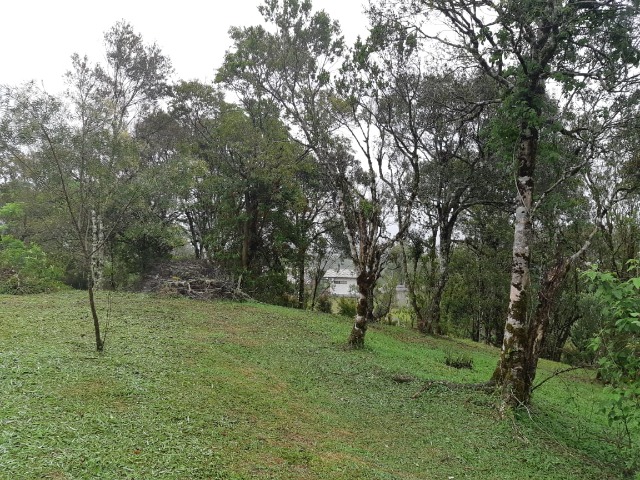 Fazenda à venda com 2 quartos, 7000m² - Foto 45