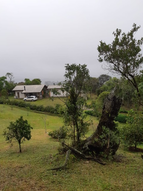 Fazenda à venda com 2 quartos, 7000m² - Foto 4