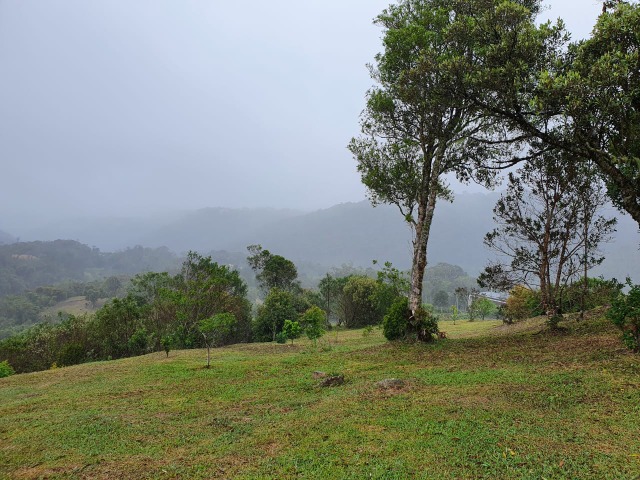 Fazenda à venda com 2 quartos, 7000m² - Foto 8