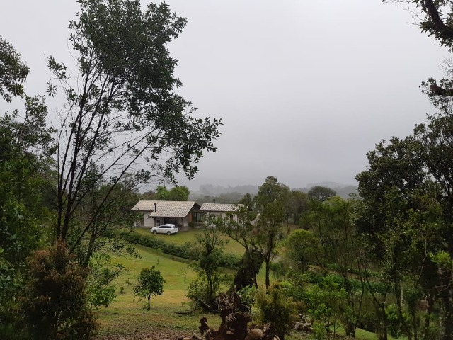 Fazenda à venda com 2 quartos, 7000m² - Foto 3