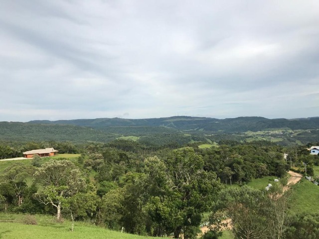 Fazenda à venda com 2 quartos, 7000m² - Foto 10