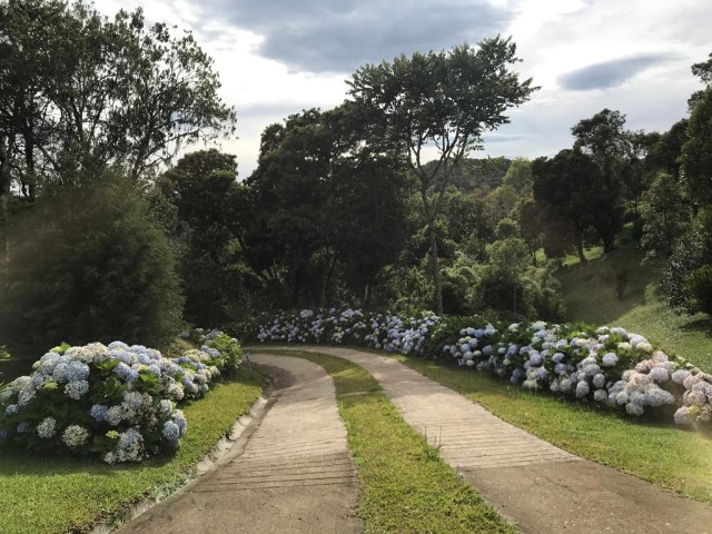 Fazenda à venda com 2 quartos, 7000m² - Foto 13