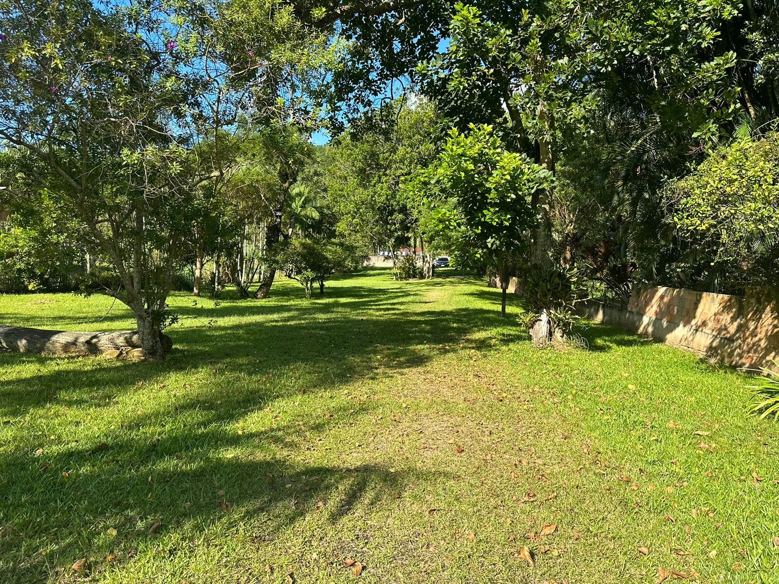 Terreno à venda, 5000m² - Foto 4