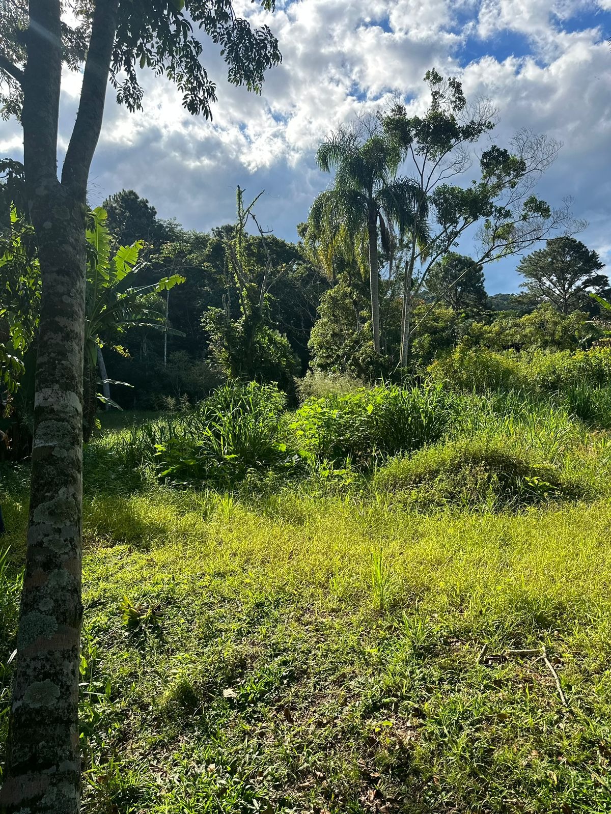 Terreno à venda, 5000m² - Foto 10