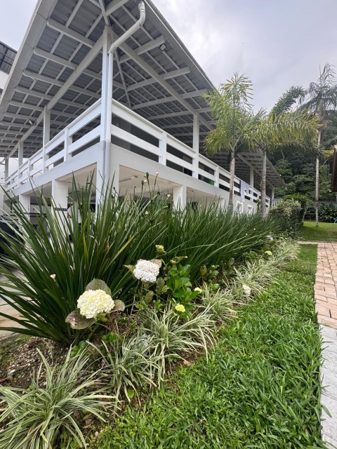 Terreno, 4500 m² - Foto 3
