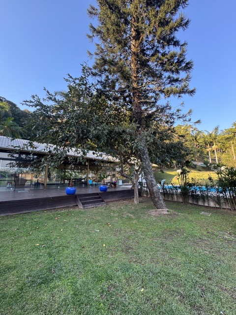 Terreno, 4500 m² - Foto 2
