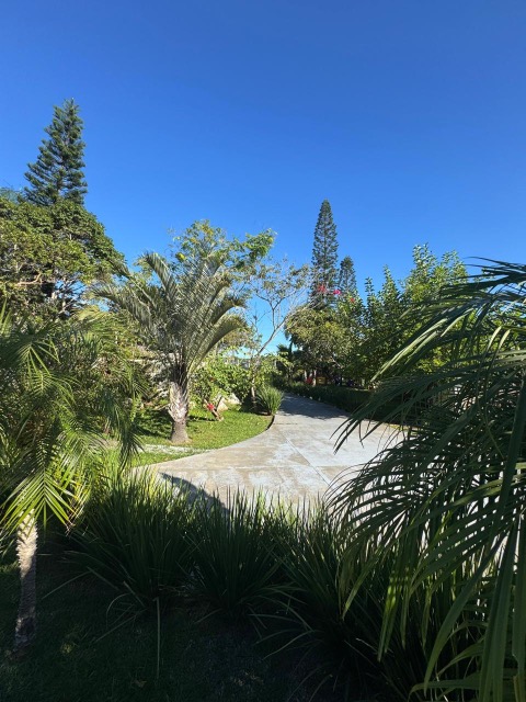 Terreno, 4500 m² - Foto 1