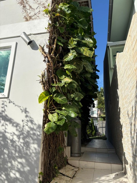 Sobrado, 3 quartos, 240 m² - Foto 8