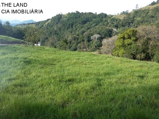 Terreno à venda, 2100m² - Foto 8