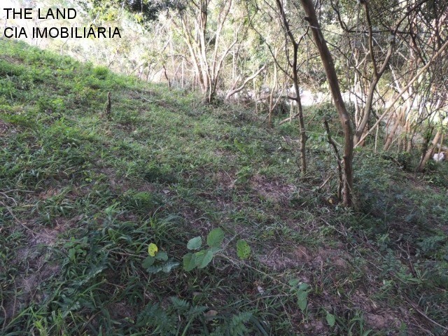 Loteamento e Condomínio - Foto 12