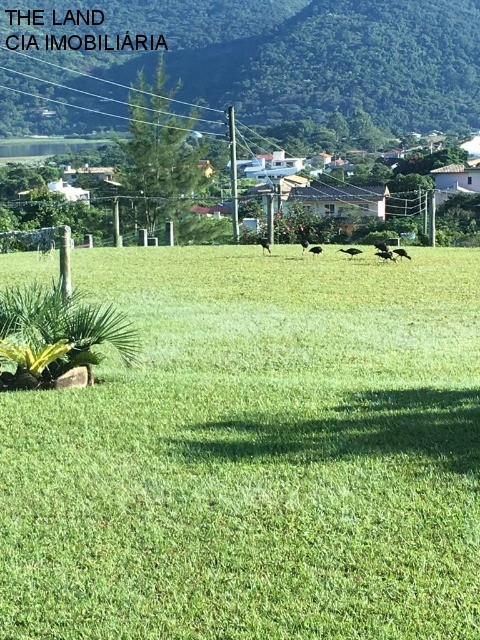 Casa à venda com 2 quartos - Foto 73