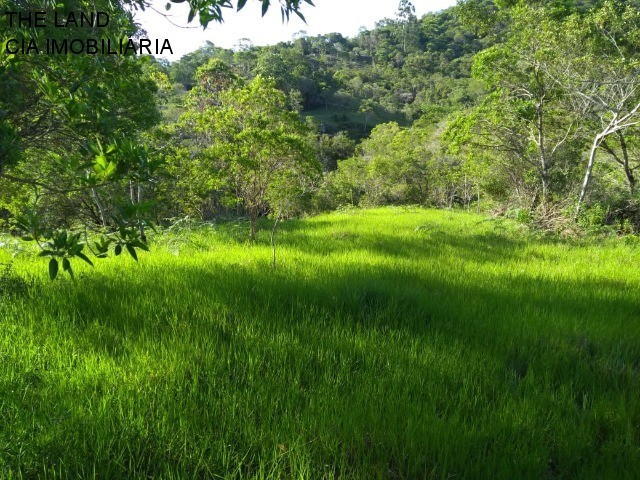Terreno, 1 hectares - Foto 4