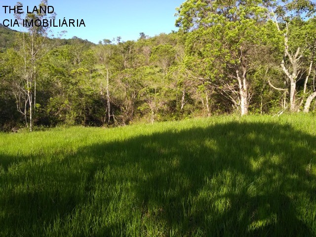 Terreno, 1 hectares - Foto 5