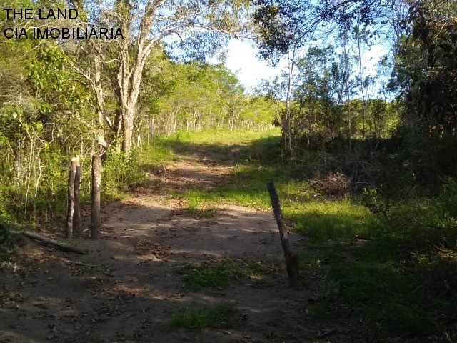Terreno, 1 hectares - Foto 9