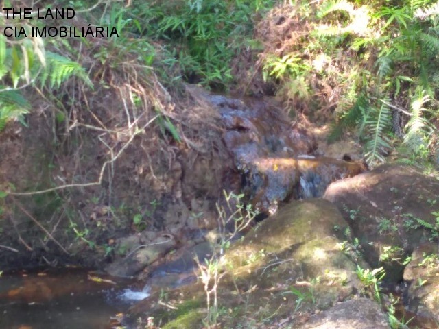 Terreno, 1 hectares - Foto 14