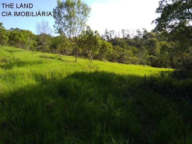Terreno, 1 hectares - Foto 16