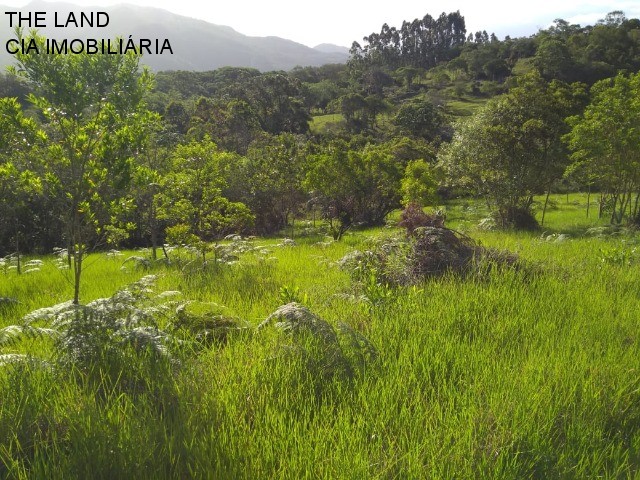 Terreno, 1 hectares - Foto 18