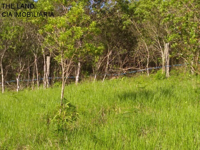 Terreno, 1 hectares - Foto 22