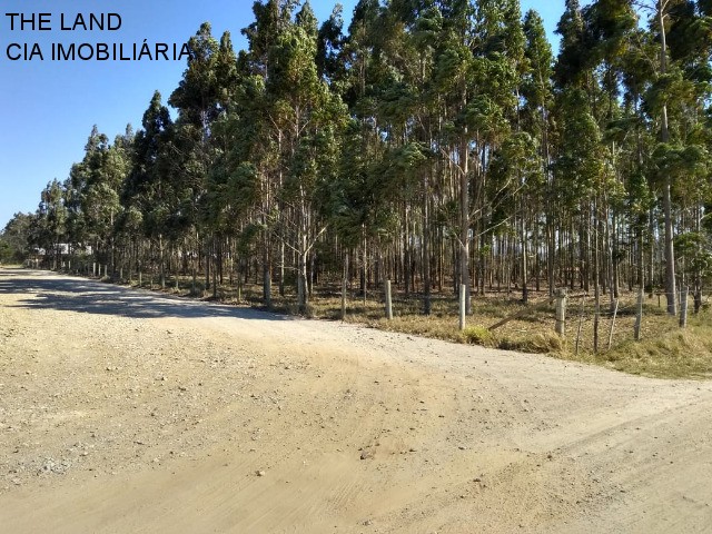 Terreno à venda, 12000m² - Foto 1