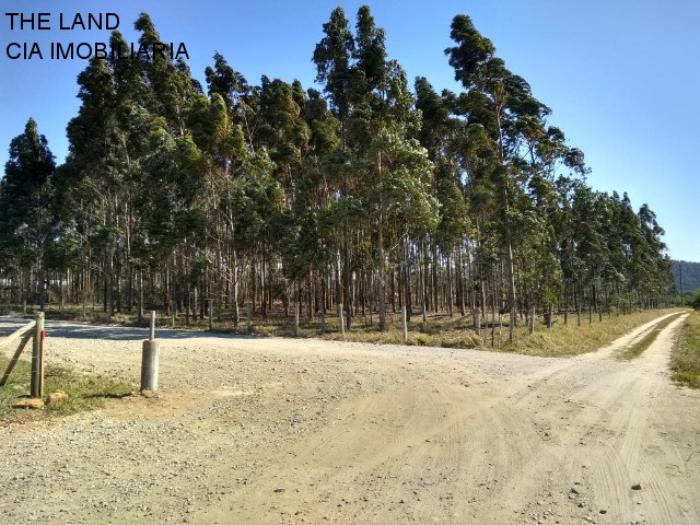 Terreno à venda, 12000m² - Foto 2