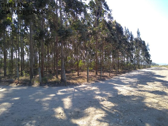 Terreno à venda, 12000m² - Foto 5