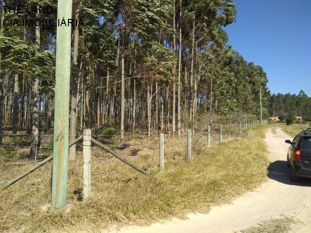 Terreno à venda, 12000m² - Foto 6