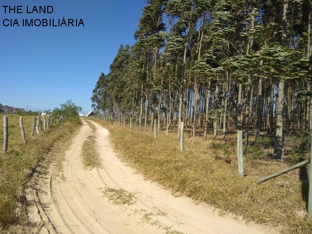 Terreno à venda, 12000m² - Foto 7