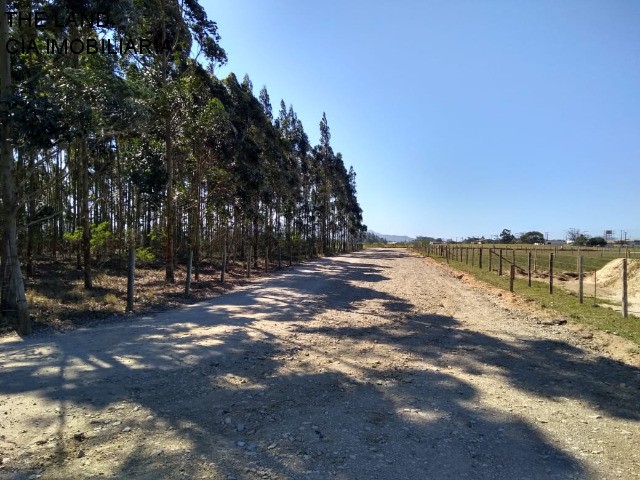 Terreno à venda, 12000m² - Foto 8