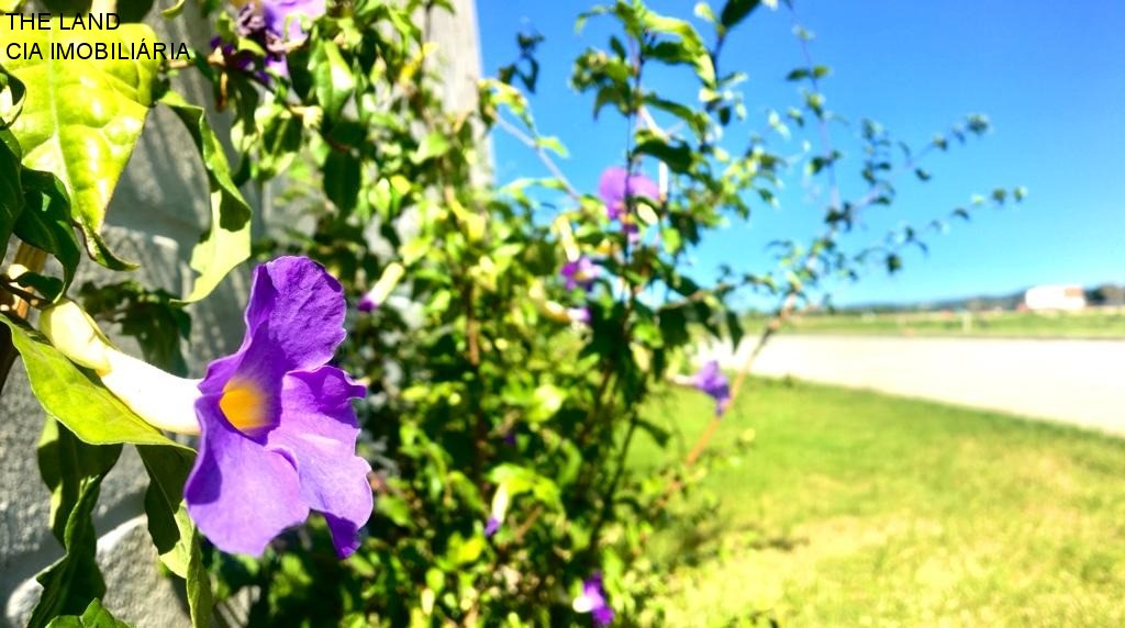 Terreno, 450 m² - Foto 17