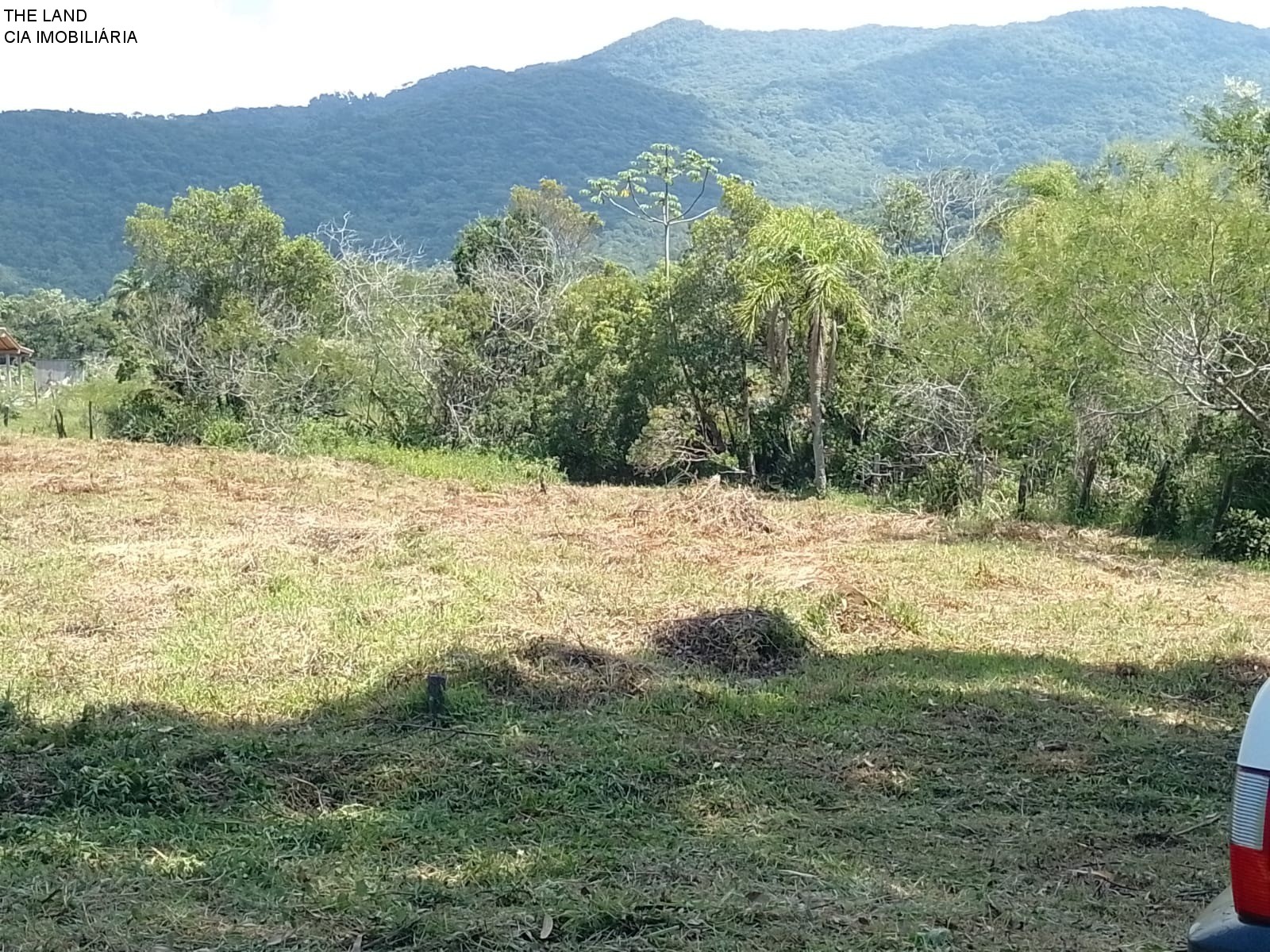 Terreno à venda, 1000m² - Foto 2