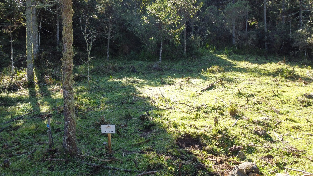 Terreno à venda, 20000m² - Foto 7