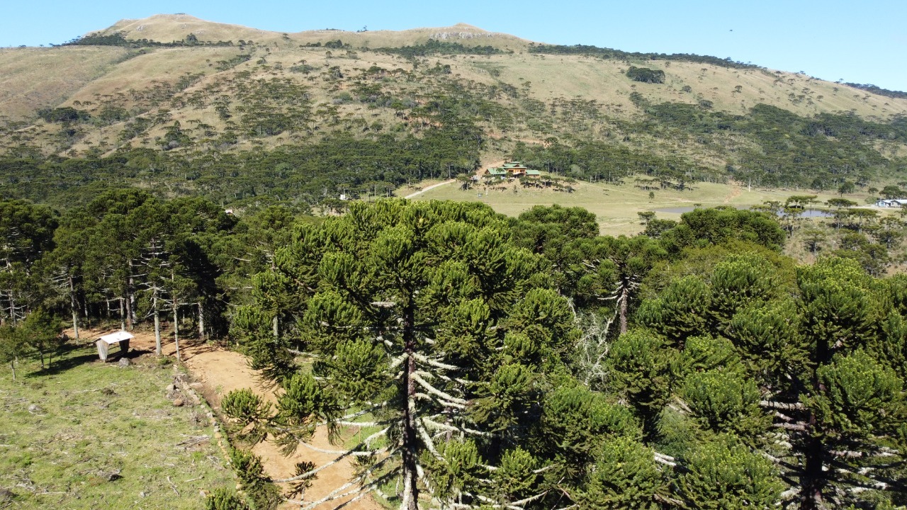 Terreno à venda, 20000m² - Foto 4