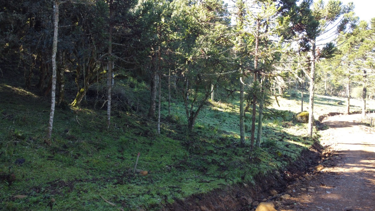 Terreno à venda, 20000m² - Foto 8