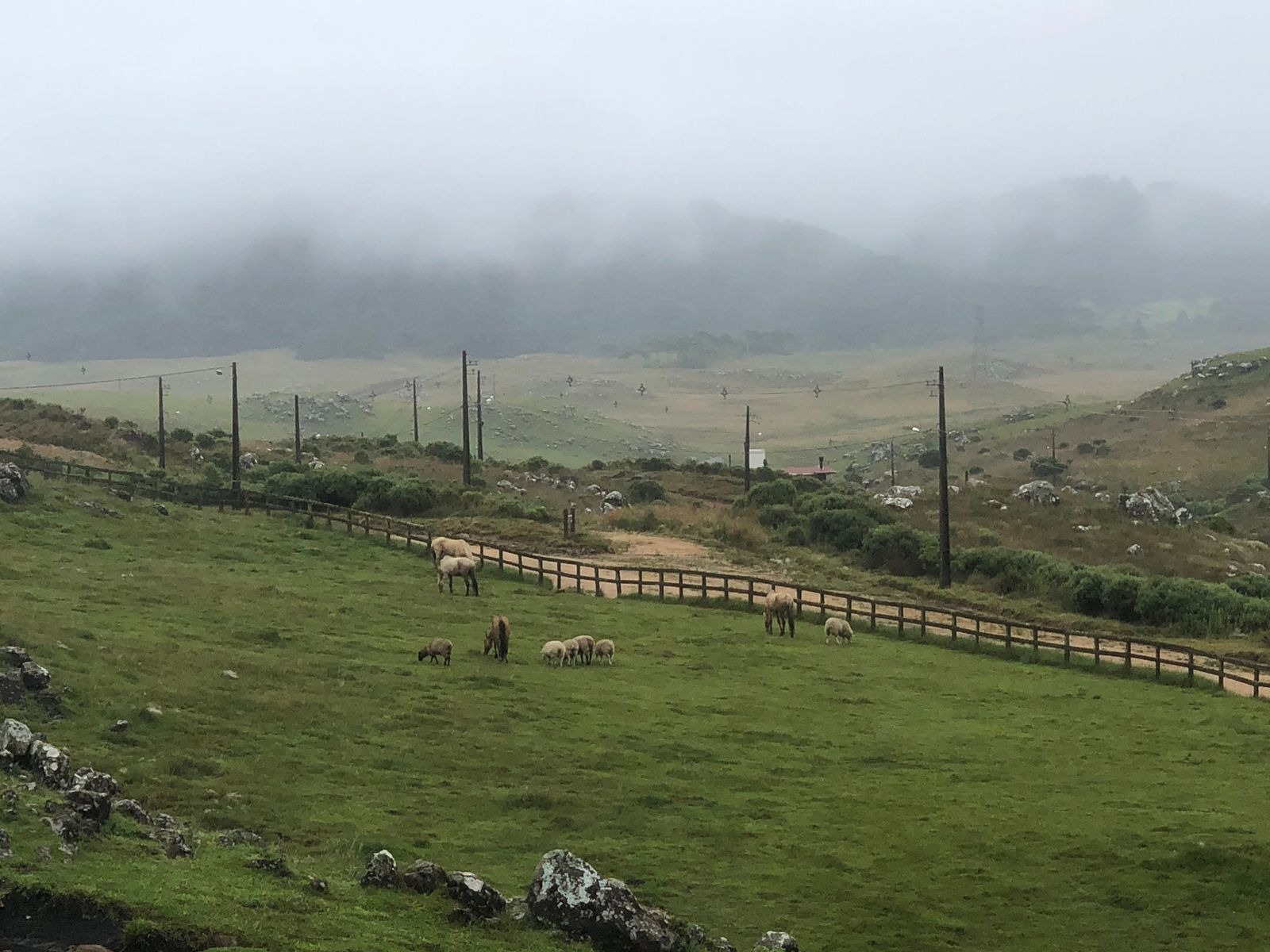 Terreno à venda, 2000m² - Foto 3