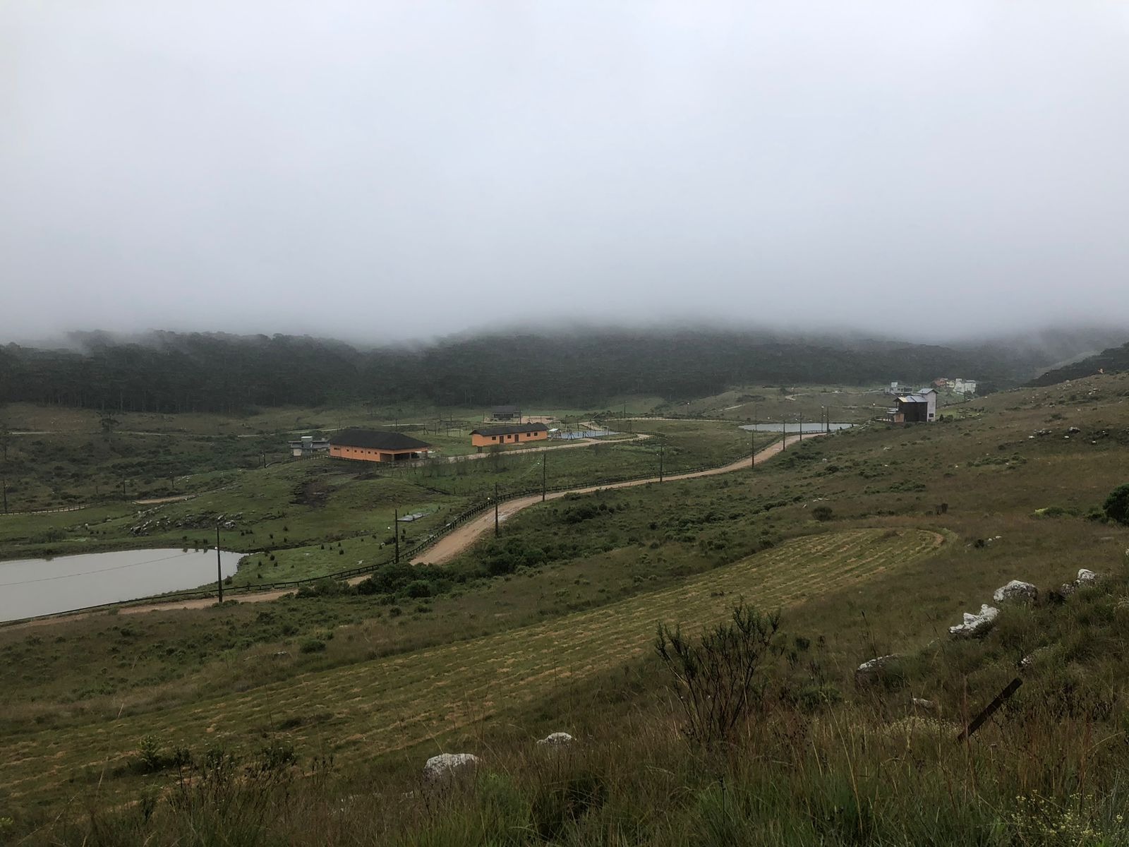 Terreno à venda, 2000m² - Foto 4