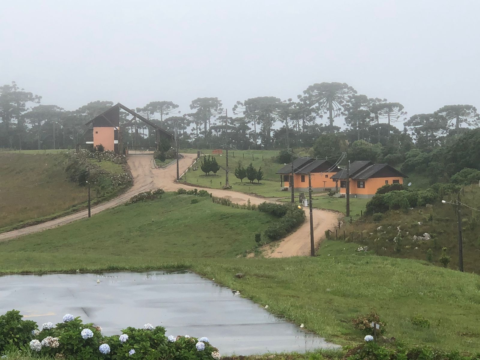 Terreno à venda, 2000m² - Foto 7