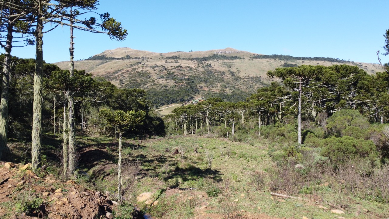 Terreno à venda, 20000m² - Foto 9