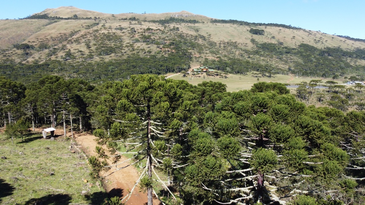 Terreno à venda, 20000m² - Foto 2